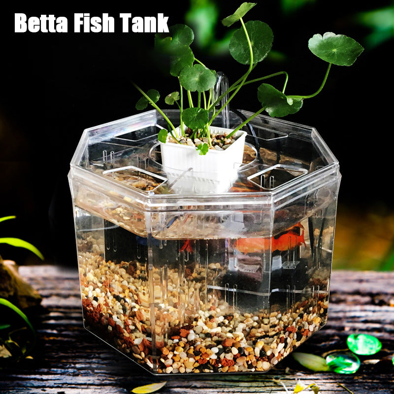 Desktop betta fish tank, view 3 - MRSLM