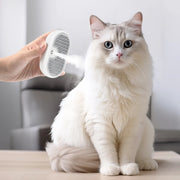 steamy grooming brush with electric sprayer - MRSLM