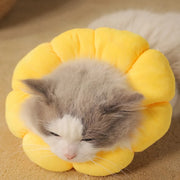 yellow sunflower cat collar, view 6 - MRSLM
