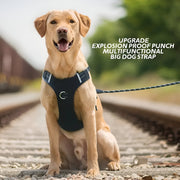 reflective dog harness and leash set, view 5 - MRSLM