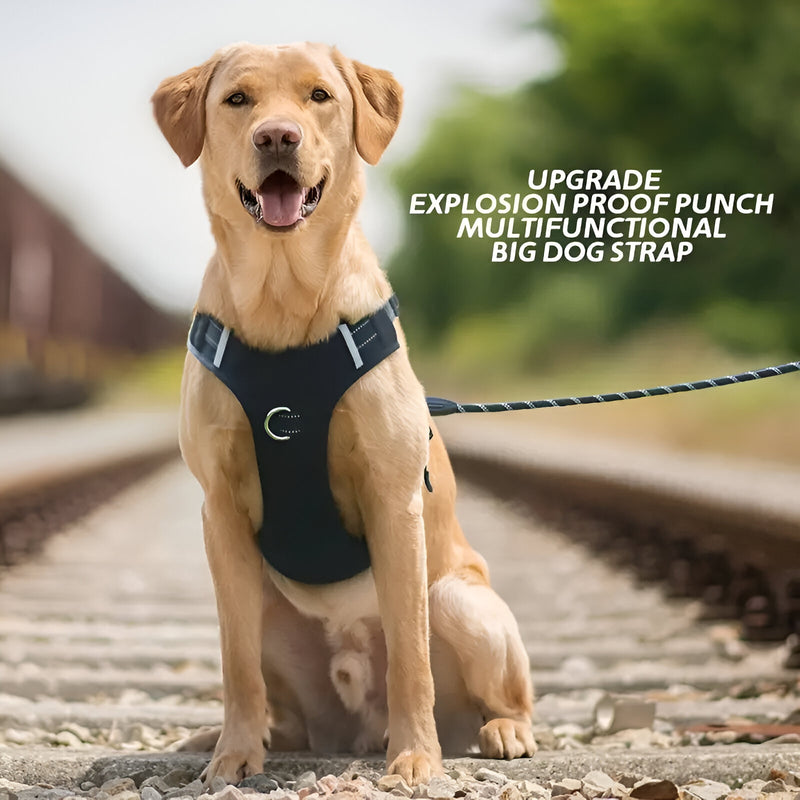reflective dog harness and leash set, view 5 - MRSLM
