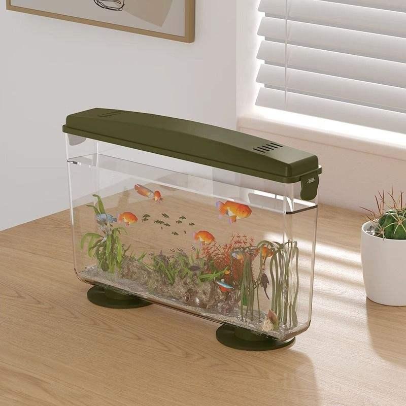 simple ecological desktop fish tank - MRSLM