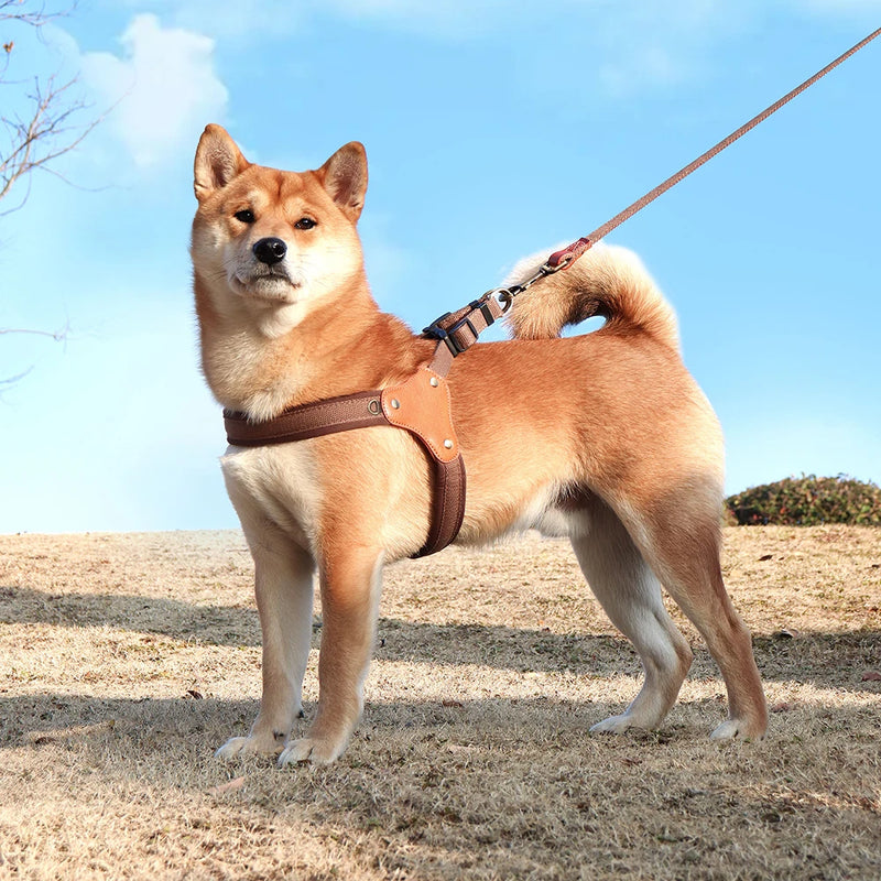 durable adjustable nylon dog harness, view 5 - MRSLM