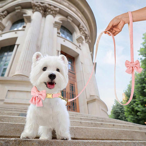 fashion dog collar and leash set with bowtie - MRSLM
