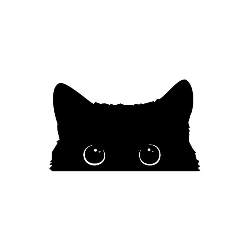 cat thief vinyl car decal, view 4 - MRSLM