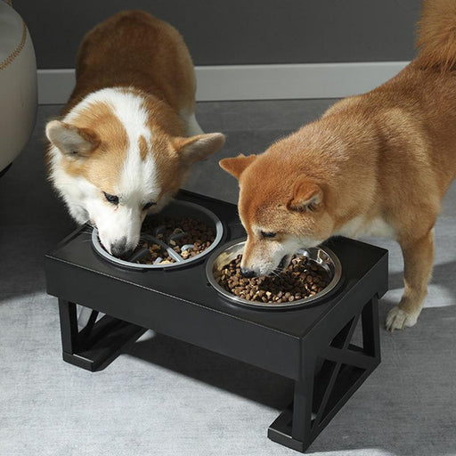 adjustable elevated dog bowls - MRSLM