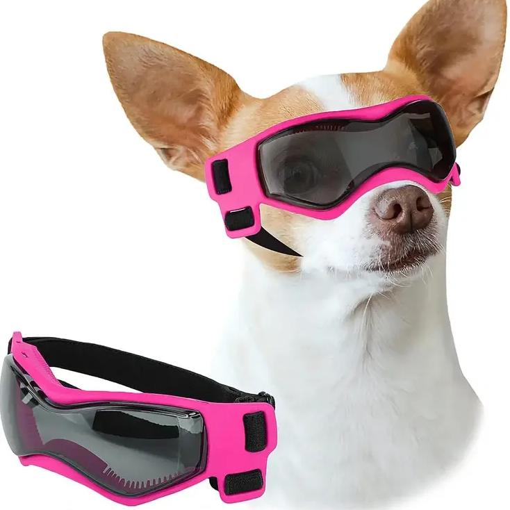 small dog sunglasses - MRSLM