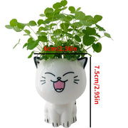 cat ceramic plant pot, view 11 - MRSLM