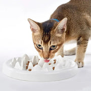 Ceramic slow eating bowl, view 4 - MRSLM