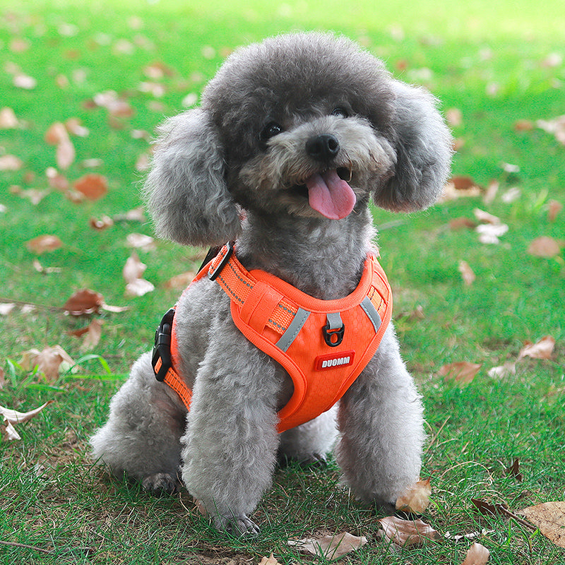 adjustable reflective dog harness, view 8 - MRSLM