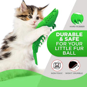 interactive cat toothbrush chew toy, view 7 - MRSLM