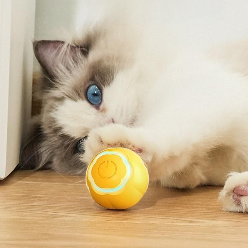 LED cat toy ball, view 10 - MRSLM