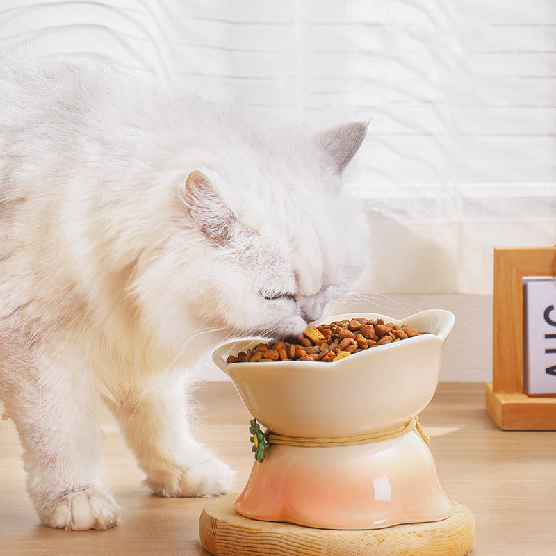 elevated gradient ceramic pet bowl, view 9 - MRSLM