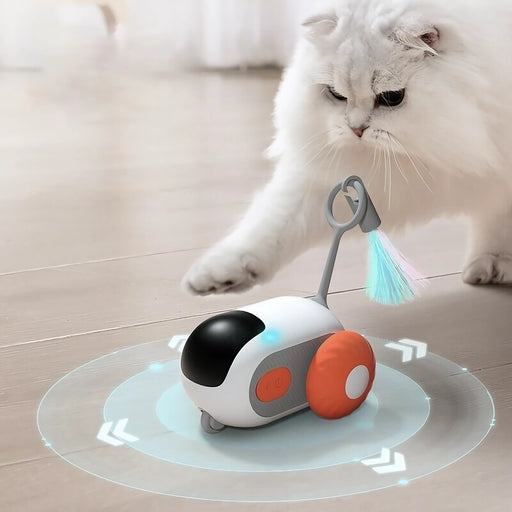 rolling car cat toy - MRSLM