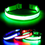 LED dog collar - MRSLM