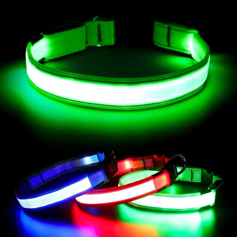 LED dog collar, view 10 - MRSLM