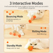 Smart interactive cat toy, view 5 - MRSLM