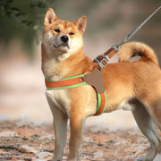 reflective mesh nylon dog harness - MRSLM
