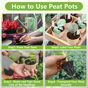 Biodegradable paper nursery pots and plant labels set, view 6 - MRSLM