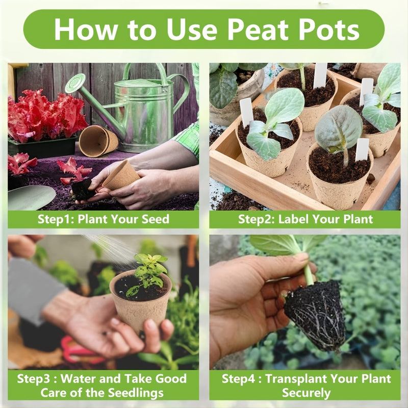 Biodegradable paper nursery pots and plant labels set, view 6 - MRSLM