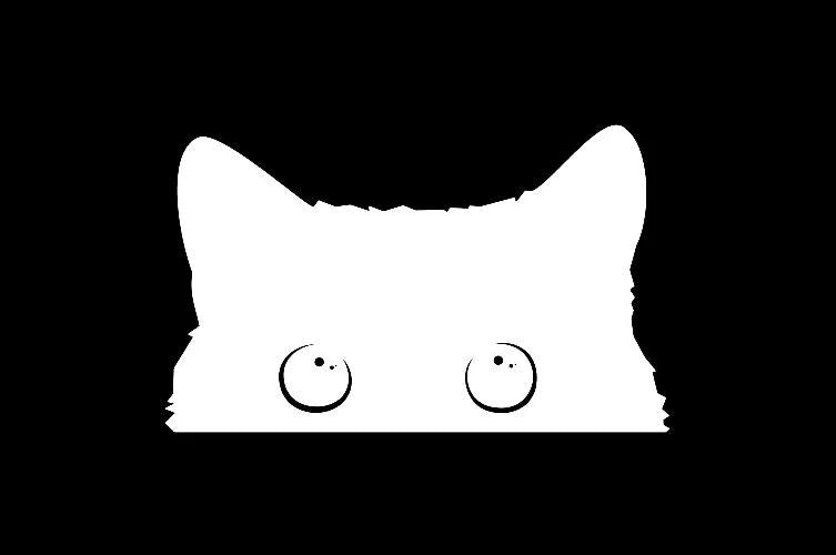 cat thief vinyl car decal, view 3 - MRSLM