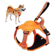 dog harness and retractable leash set, view 2 - MRSLM
