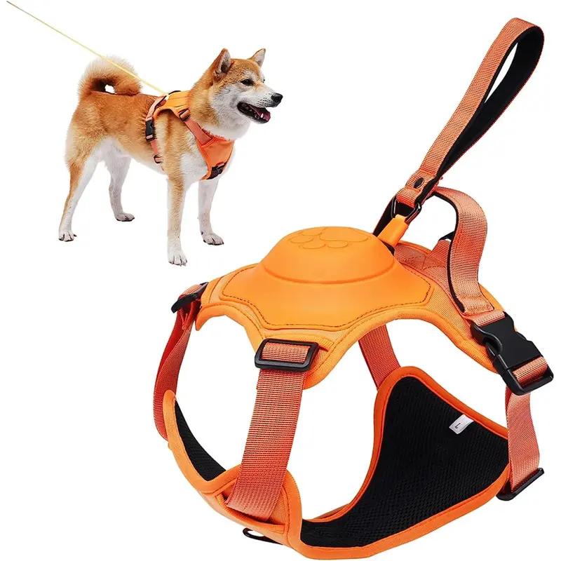 dog harness and retractable leash set, view 2 - MRSLM