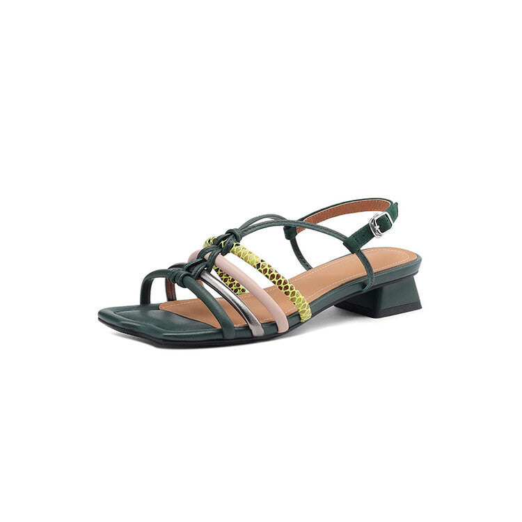 colorful buckle strap chunky heel sandals, view 4 - MRSLM