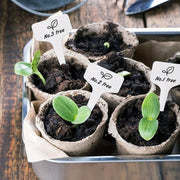 Biodegradable paper nursery pots and plant labels set - MRSLM