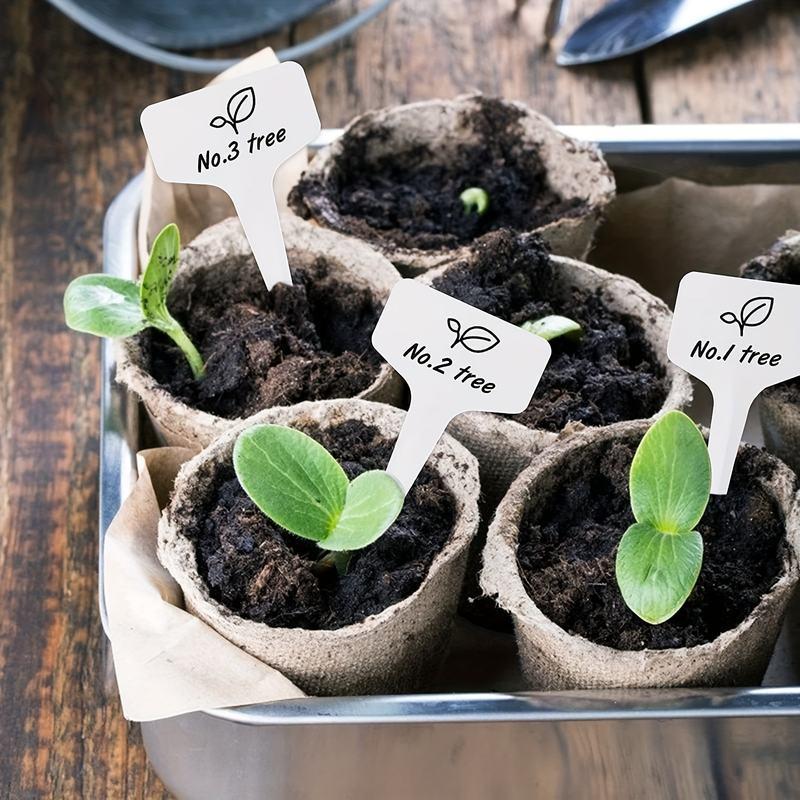 Biodegradable paper nursery pots and plant labels set, view 3 - MRSLM