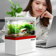 self-circulating mini fish tank, view 5 - MRSLM