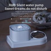 cat water fountain and feeder, view 10 - MRSLM