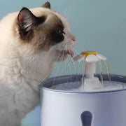 cat water fountain, view 10 - MRSLM