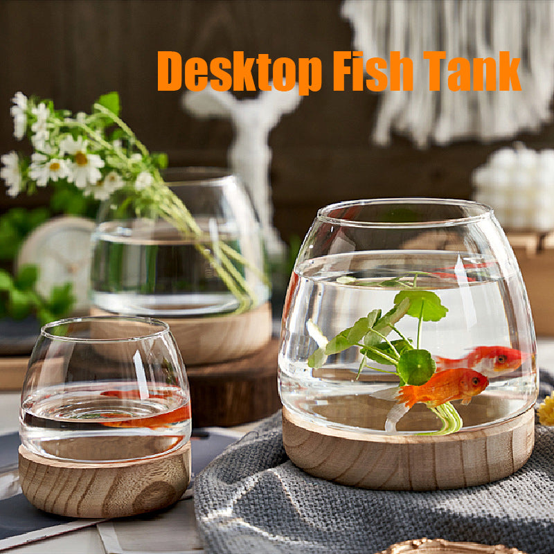 round glass desktop fish tank, view 6 - MRSLM