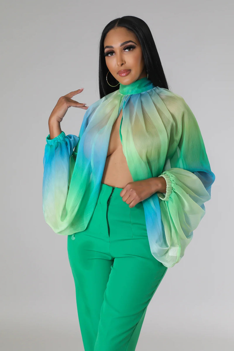 women's sheer chiffon printed long sleeve top, view 4 - MRSLM