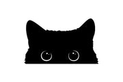 cat thief vinyl car decal, view 2 - MRSLM