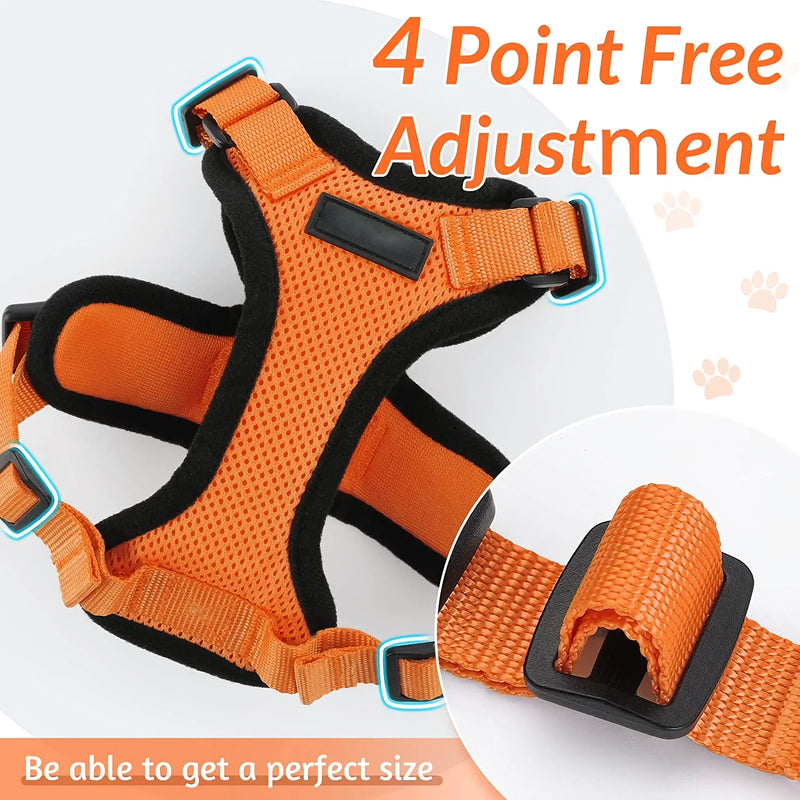 cat harness and leash, view 22 - MRSLM