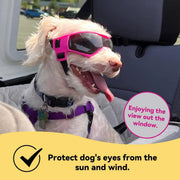 small dog sunglasses, view 5 - MRSLM