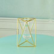 Hydroponic Glass Vase - MRSLM