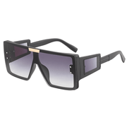 big frame polarized sunglasses, view 7 - MRSLM