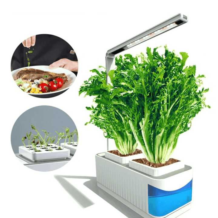 LED Grow Light for Plant Lamp Indoor Herb Flower Greenhouse Planter Light Phytolamp LED Bulb Hydroponic Growth Light - MRSLM