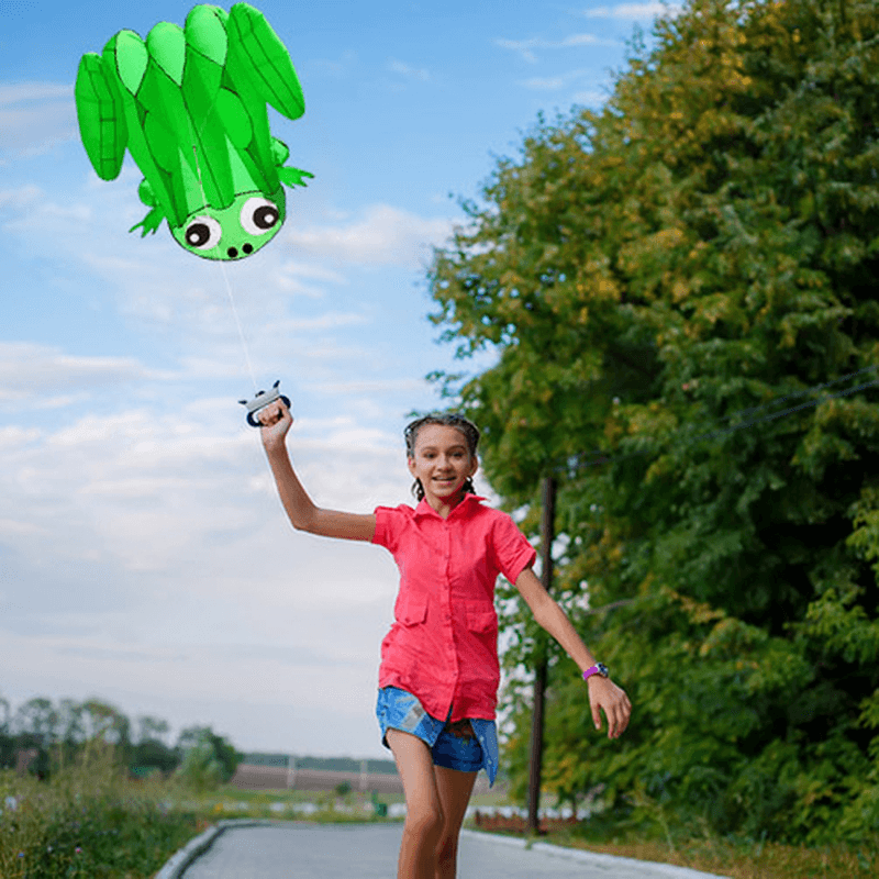 55" Large Frog Soft Kite Easy to Fly Kids Children Adult Beach Trip Park Family Outdoor Games Activities - MRSLM