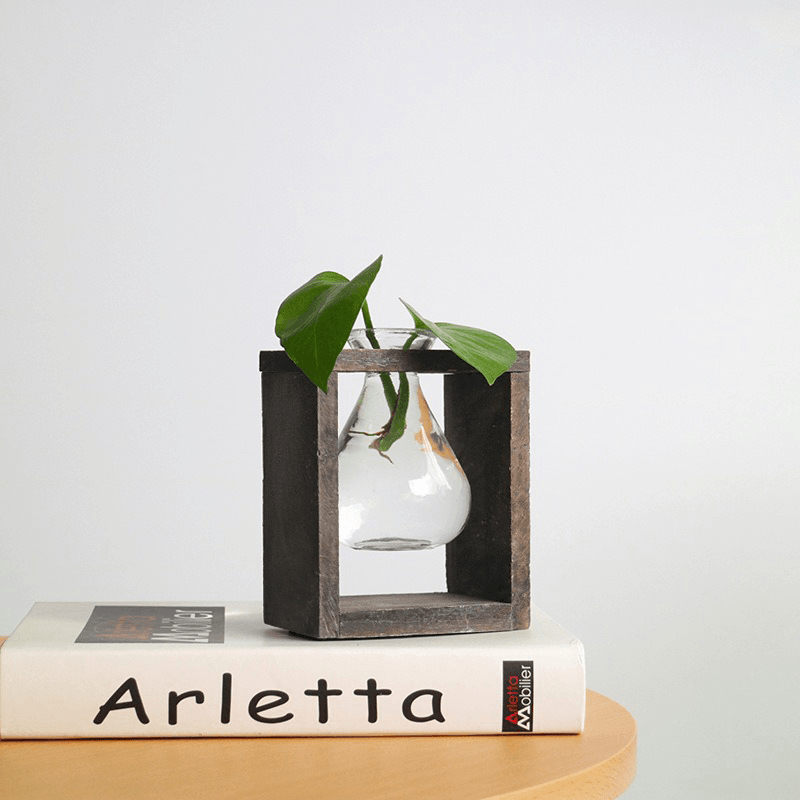 Wood and Glass Creative Hydroponic Living Room Decoration Flower Pot Plant Vase - MRSLM