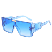 big frame polarized sunglasses, view 8 - MRSLM