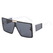 big frame polarized sunglasses, view 6 - MRSLM