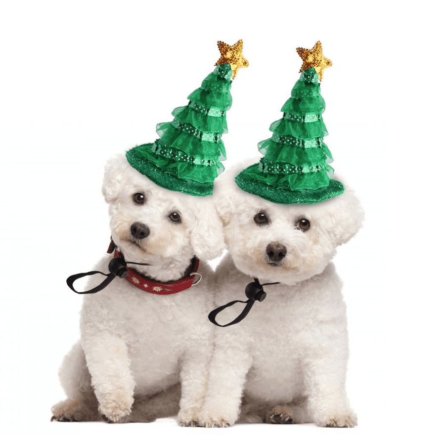 Halloween Christmas Pet Clothes Christmas Festival Tree Pet Hat Star Decoration Funny Pet Party Cosplay Apparel Clothing - MRSLM