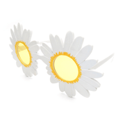 daisy party sunglasses, view 5 - MRSLM