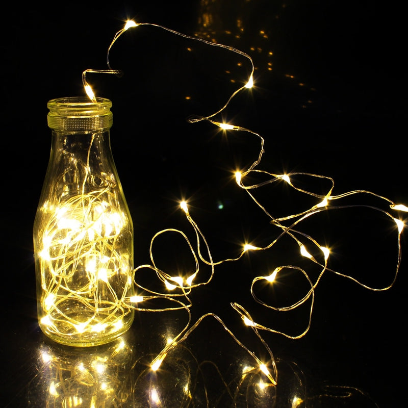 copper wire LED string lights - MRSLM