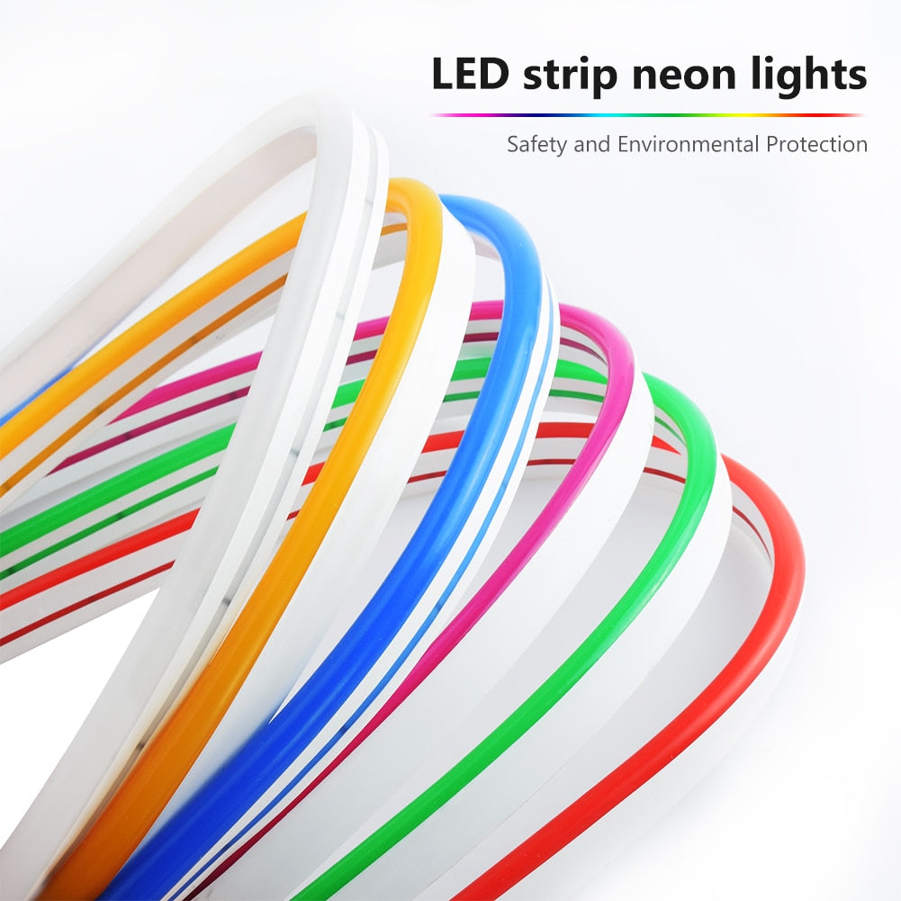 Neon Light 12V LED Strip