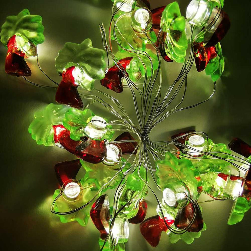 exotic style led fairy lights, view 5 - MRSLM